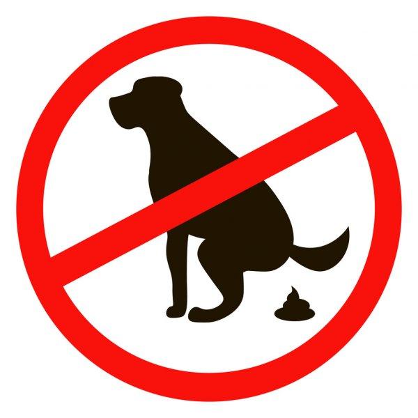 Report dog fouling